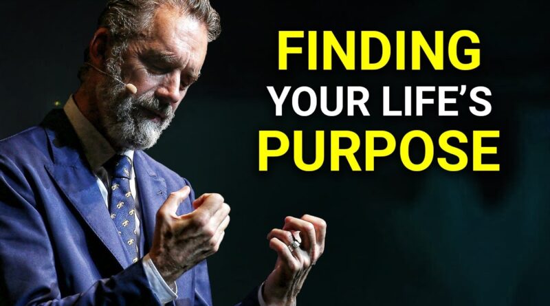 How to Create the Life You Want | Jordan Peterson Motivation